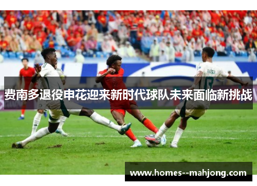 费南多退役申花迎来新时代球队未来面临新挑战